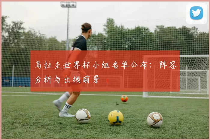 乌拉圭世界杯小组名单公布:阵容分析与出线前景