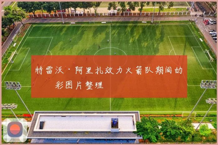 特雷沃·阿里扎效力火箭队期间的精彩图片整理