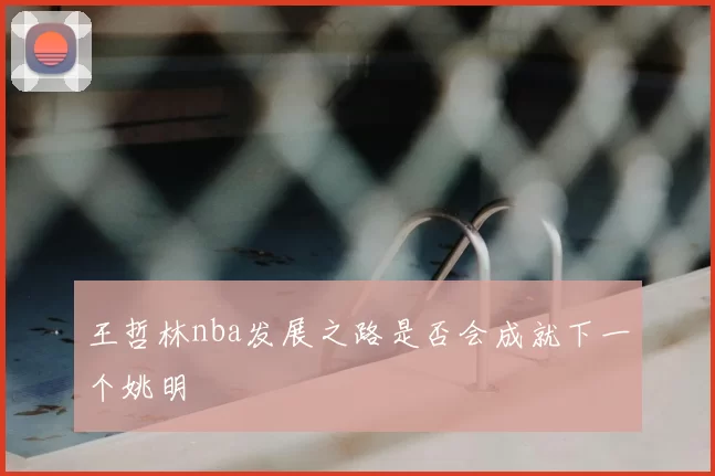 王哲林nba发展之路是否会成就下一个姚明