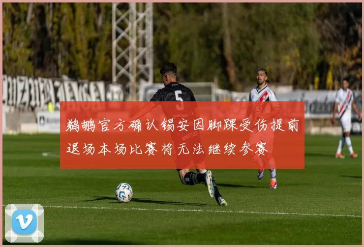 鹈鹕官方确认锡安因脚踝受伤提前退场本场比赛将无法继续参赛