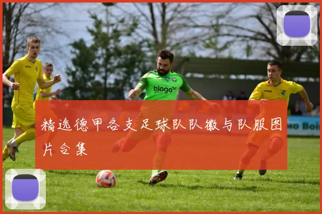 精选德甲各支足球队队徽与队服图片合集