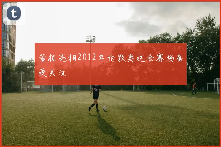 董栋亮相2012年伦敦奥运会赛场备受关注