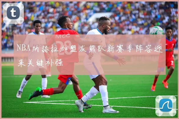 NBA纳赫拉加盟灰熊队新赛季阵容迎来关键补强