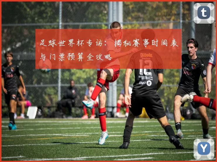 足球世界杯专访:揭秘赛事时间表与门票预算全攻略