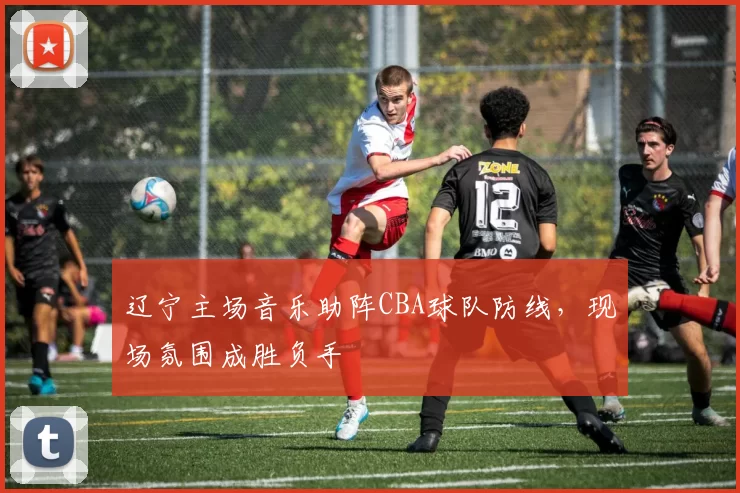 辽宁主场音乐助阵CBA球队防线,现场氛围成胜负手