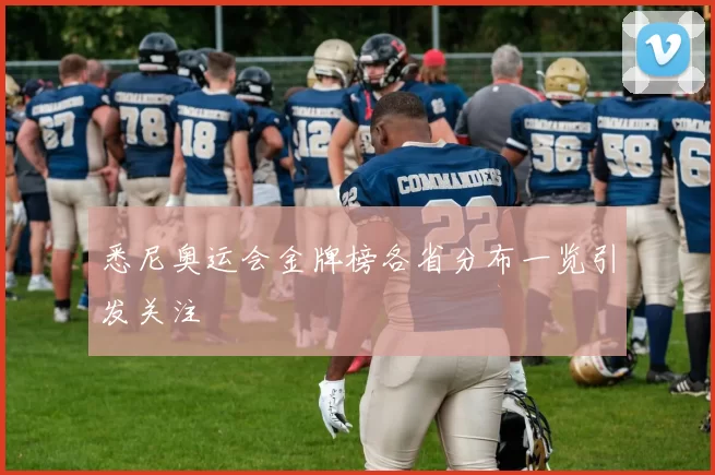 悉尼奥运会金牌榜各省分布一览引发关注