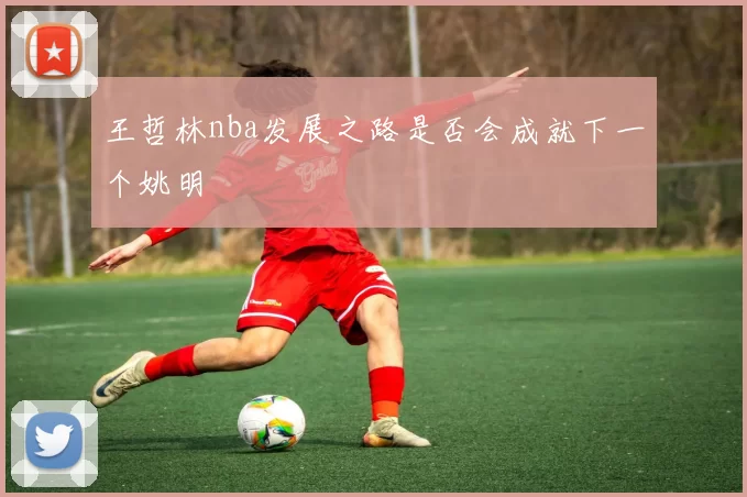 王哲林nba发展之路是否会成就下一个姚明