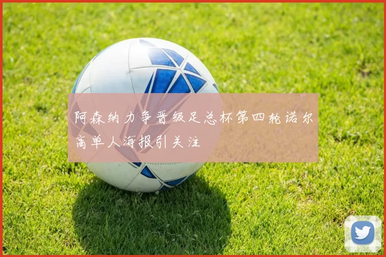 阿森纳力争晋级足总杯第四轮诺尔高单人海报引关注