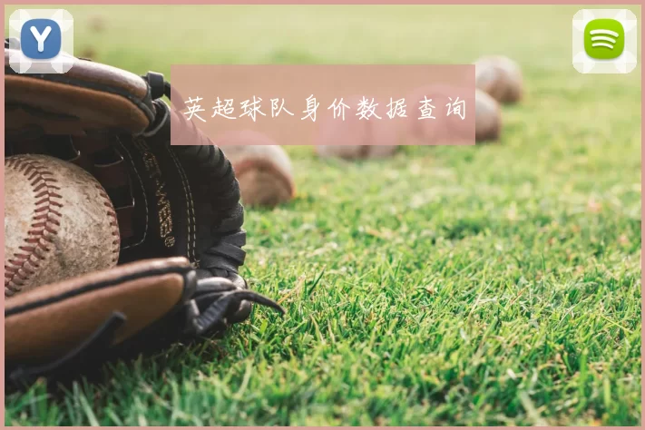 英超球队身价数据查询