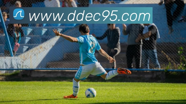 华体会体育平台生态图