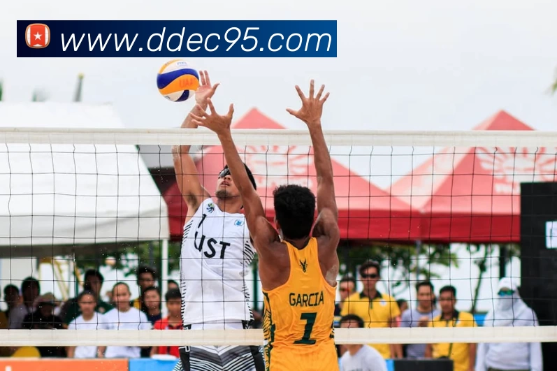 华体会体育APP 封面图