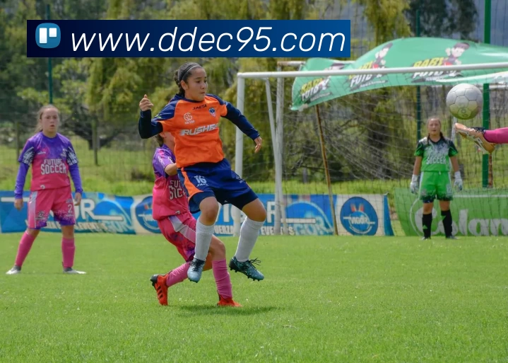 数据防护可视化